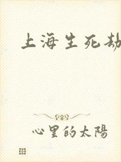 上海生死劫封面