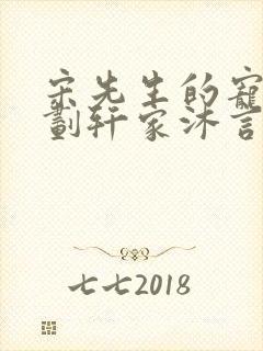 宋先生的宠妻计划轩家沐言封面