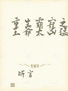 重生霸宠之摄政王爷太凶猛