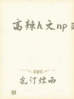 高辣h文np爽