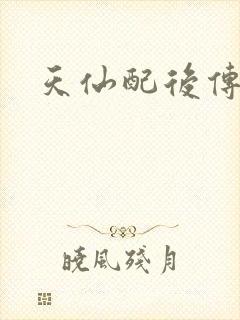 天仙配后传封面
