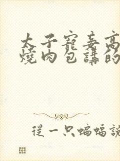 太子宠妾高肉红烧肉包讲的什么