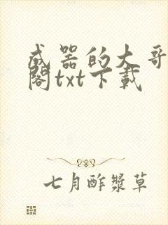成器的大哥笔趣阁txt下载