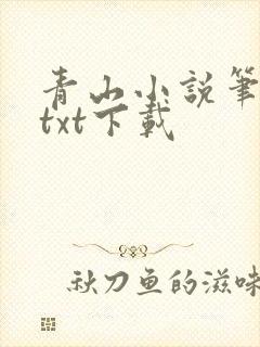 青山小说笔趣阁txt下载