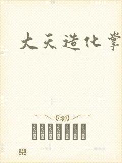 大天造化掌封面