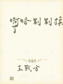 啊哈别别揉那处了封面