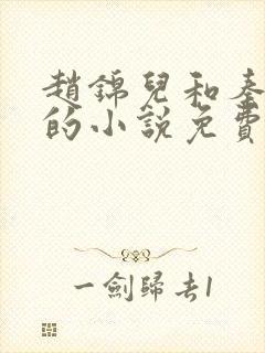 赵锦儿和秦慕修的小说免费阅读全文