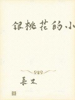 银桃花的小说