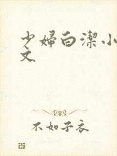 少妇白洁小说全文