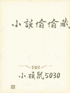 小说偷偷藏不住