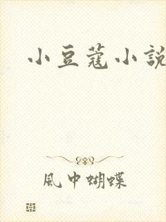 小豆蔻小说封面