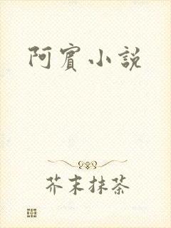 阿宾小说