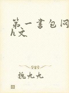 第一书包网高辣h文封面