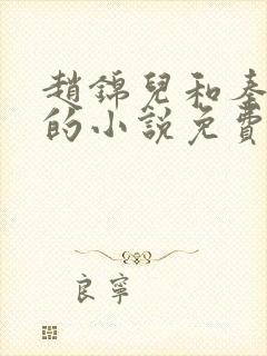 赵锦儿和秦慕修的小说免费阅读全文