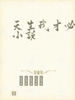 天生我才必有用小说
