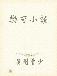 乐可小说封面
