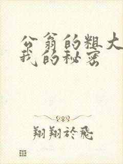 公翁的粗大放进我的秘密