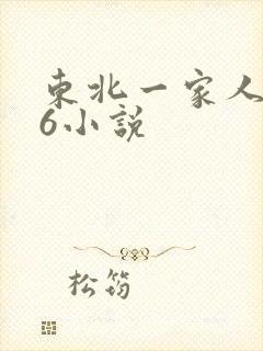 东北一家人1一6小说封面