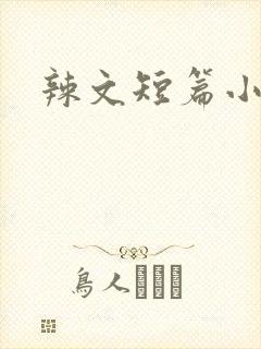 辣文短篇小说封面