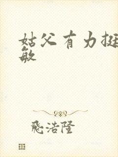 姑父有力挺送赵敏