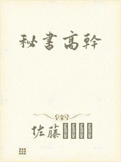 秘书高干
