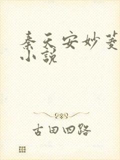 秦天安妙菱修仙小说