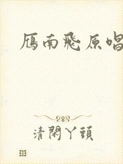 雁南飞原唱封面