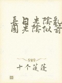 长日光阴乱作一团光阴似箭必读