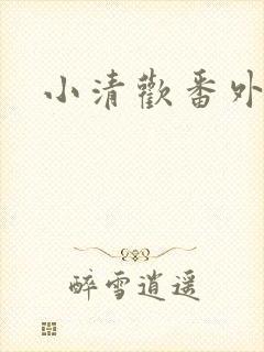 小清欢番外封面
