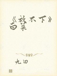 《放不下》半截白菜封面