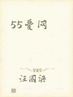 55爱网