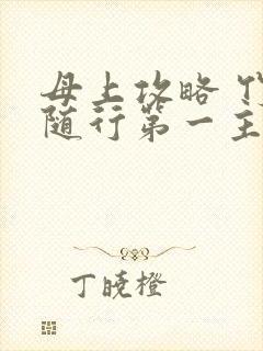 母上攻略 竹影随行第一主板