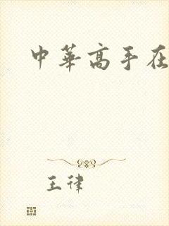 中华高手在异世