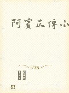 阿宾正传小说