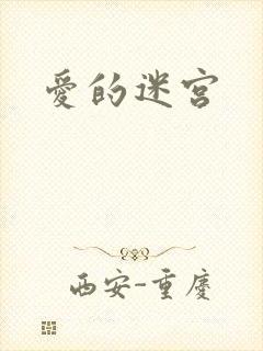 爱的迷宫