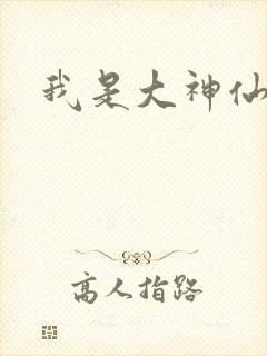 我是大神仙小说