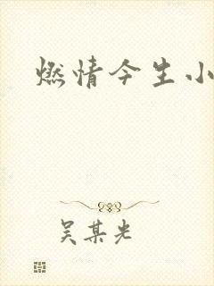 燃情今生小说