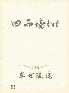 四面墙txt