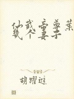 仙武帝尊叶辰有几个妻子封面