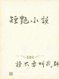 短艳小说封面