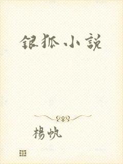 银狐小说