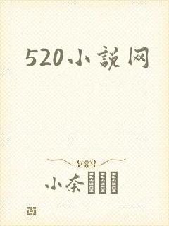 520小说网