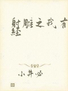 射雕之我有太玄经