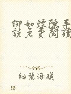 柳如烟陈平安小说免费阅读全文