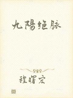 九阳绝脉封面