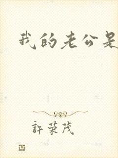 我的老公是军阀