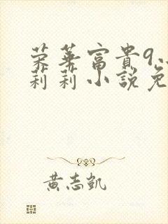 荣华富贵9小王莉莉小说免费阅读