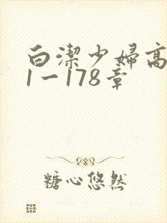 白洁少妇高义第1一178章