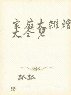 家庭大杂烩小说大全儿