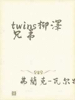 twins柳泽兄弟